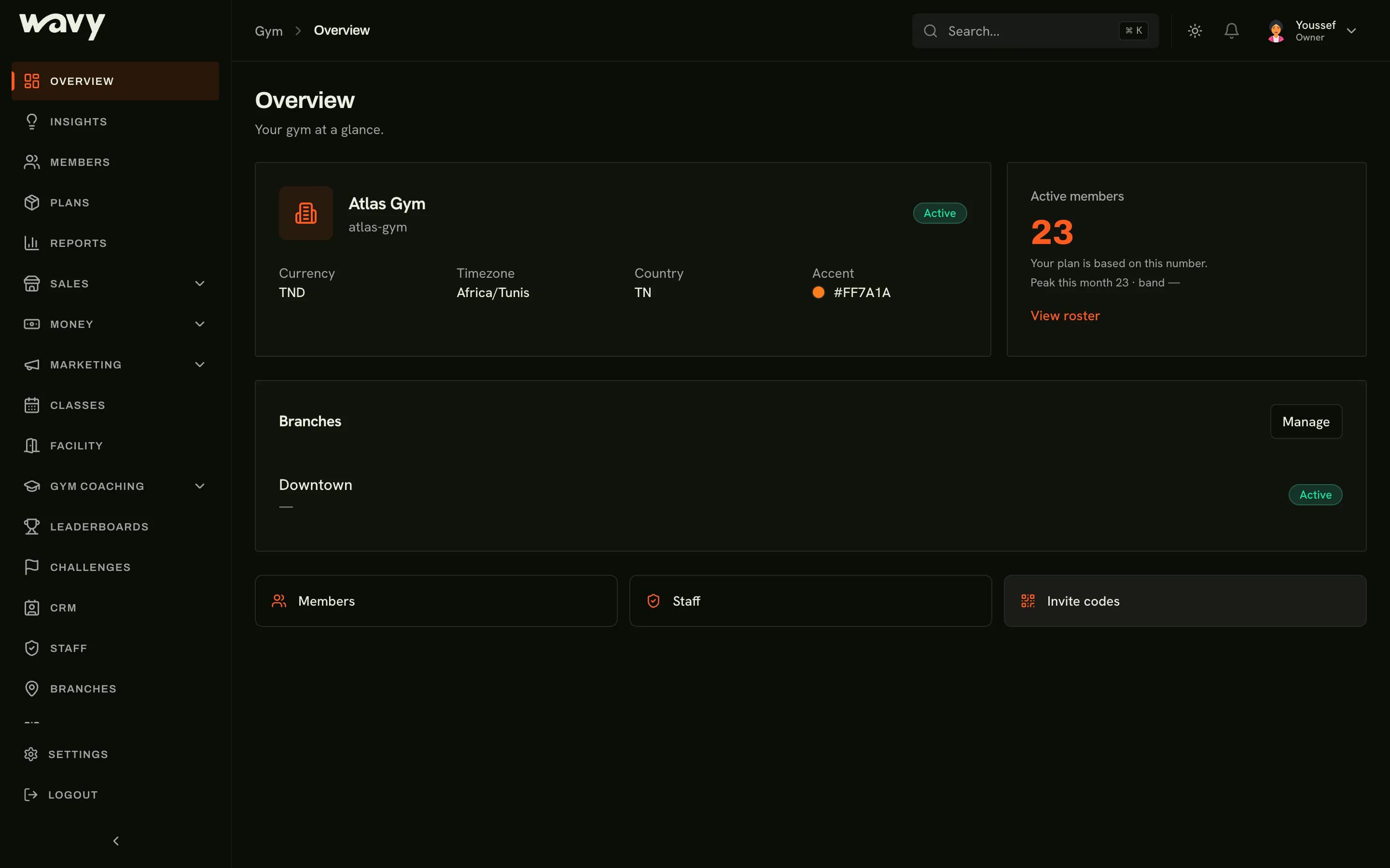 The wavy dashboard overview of a gym